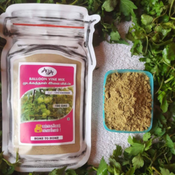 Balloon Vine Leaves  Mix(Mudakatraan)
